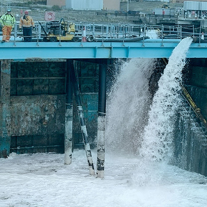 Tiger Lifting - Unterwasserdock2